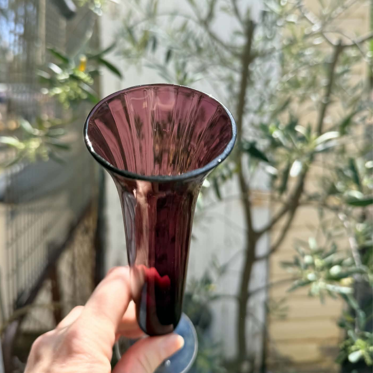 A hand holding a flared glass vase in a deep burgundy or plum purple color, set against a blurred outdoor background of trees and a fence.