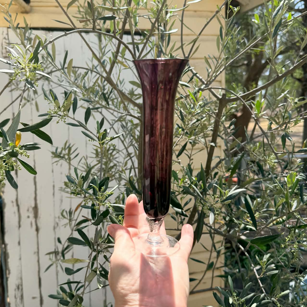 A hand holds a tall, flared glass vase with a deep burgundy-purple tinted glass body and a clear stem, set against a background of green olive tree branches and a white wooden fence.