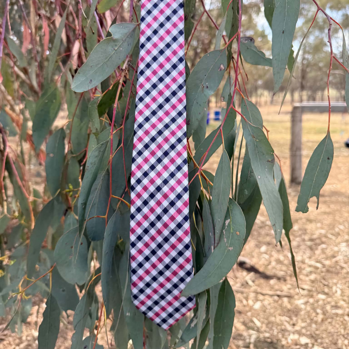 A necktie with a pink, navy, and white gingham pattern hanging from the branches of a eucalyptus tree outdoors.